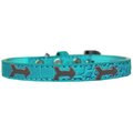 Mirage Pet Products Arrows Widget Croc Dog Collar TurquoiseSize 20 720-26 TQC20